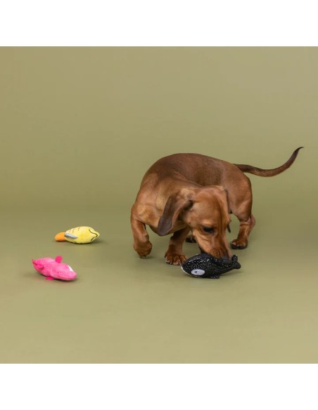 High Fin Buds 3Pcs Small Dog Toy