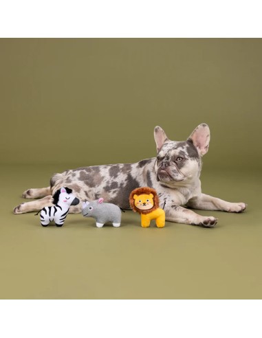 Meet At The Zoo 3Pcs Small Dog Toy