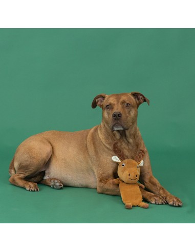 Dont Moose With Me Flat Plush Dog Toy