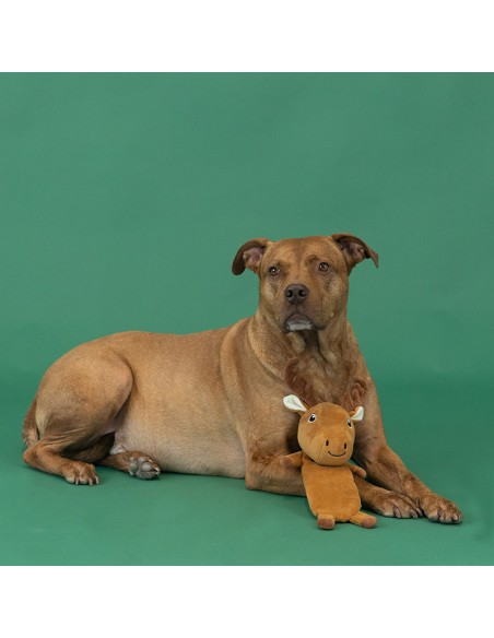 Dont Moose With Me Flat Plush Dog Toy