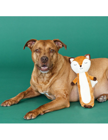 Fringe For Fox Sake Plush Dog Toy