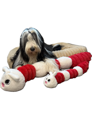 Gor Reef Limited Edition Caterpillar : GorPets...
