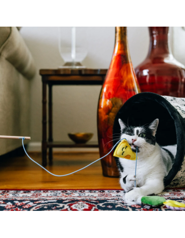 Feline Frenzy – Wand Toy - Cheese and Wine
