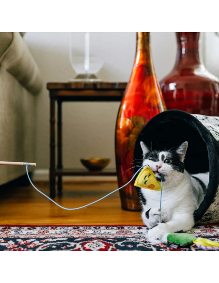 Feline Frenzy – Wand Toy - Cheese and Wine