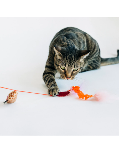 Feline Frenzy - Wand Toy - Salami