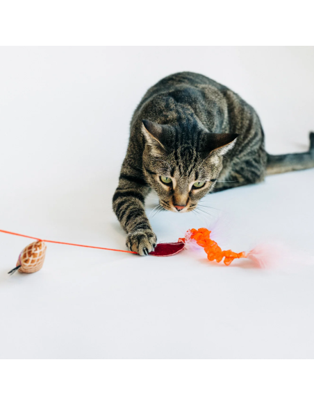 Feline Frenzy - Wand Toy - Salami