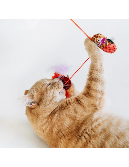 Feline Frenzy - Wand Toy - Salami
