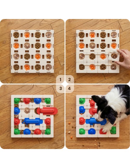 SnapTrack - Starter Pack