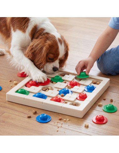 SnapTrack - Starter Pack