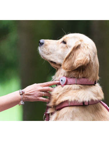 Soundshield - Classic - Rose