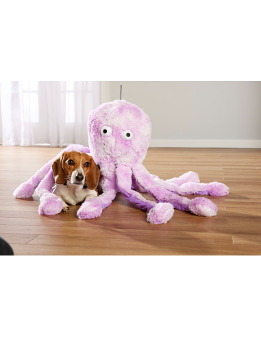 Gor Reef - Octopus - Big Daddy - Purple