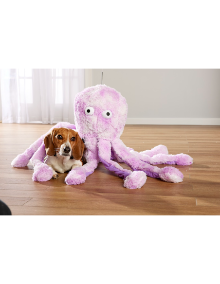 Gor Reef - Octopus - Big Daddy - Purple