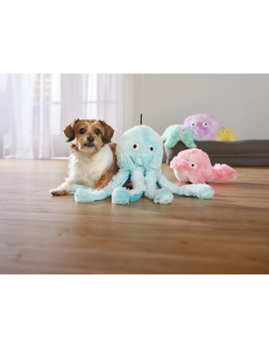 Gor Reef - Octopus - Big Daddy - Bleu