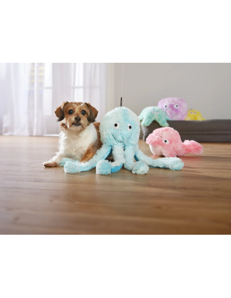 Gor Reef - Octopus - Big Daddy - Bleu
