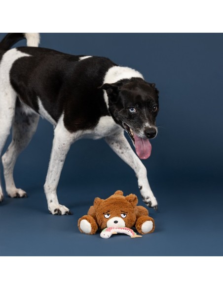 Wagsdale The Bear Necessities Plush Dog Toy