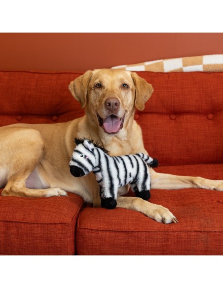 I'm Stripe-Tacular Plush Dog Toy