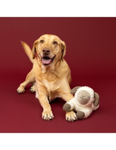 You Herd Me Plush Dog Toy