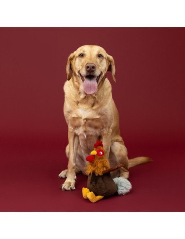 Roost and Repeat Plush Dog Toy