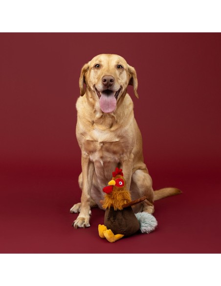 Roost and Repeat Plush Dog Toy