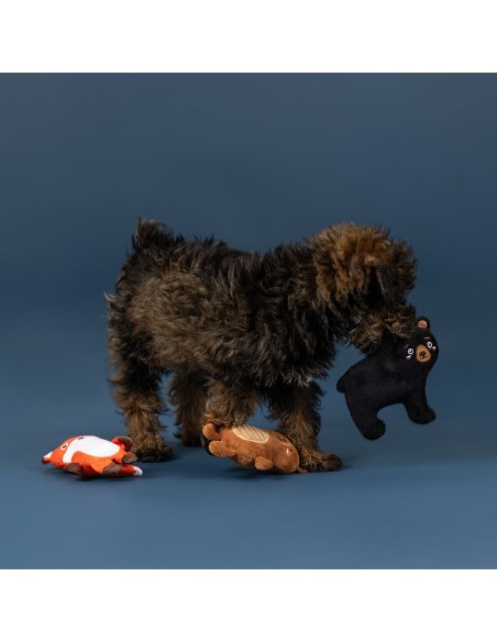 Wagsdale Lake Cruisers 3pc Mini Dog Toy Set