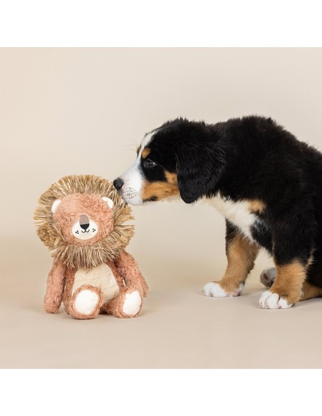 Mighty Mane Earth Friendly Dog Toy