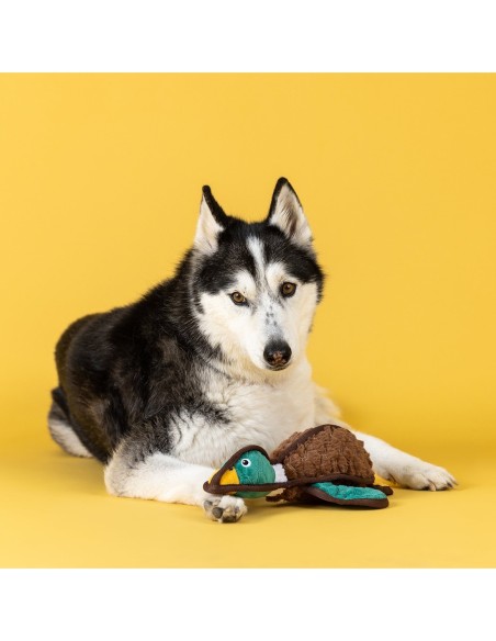 Heading South Durable Plush Dog Toy