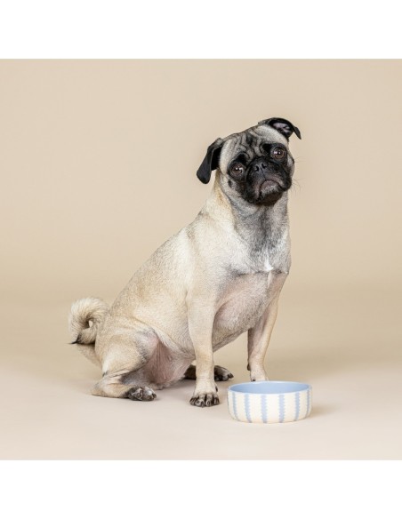 Rounded Scallop Powder Blue Small Dog Bowl