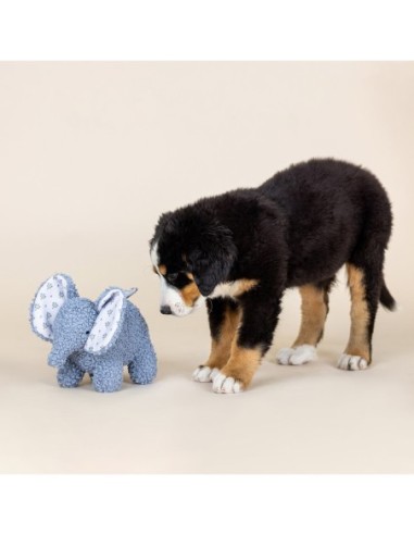 Ellie Textured Patchwork Dog Toy