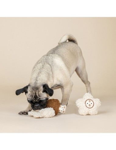 Meadow Blooms 3pc Textured Patchwork Mini Dog...