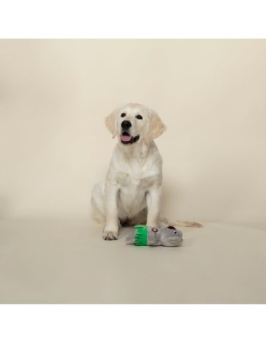 Shake Your Palm Palms Dog Toy - pack of 4