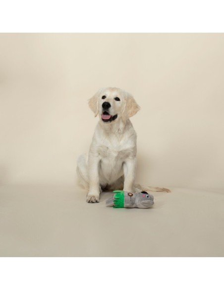 Shake Your Palm Palms Dog Toy - pack of 4