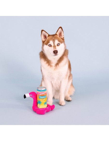 Pool Days, Sun Rays Dog Toys - pack of 4