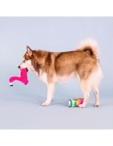 Pool Days, Sun Rays Dog Toys - pack of 4