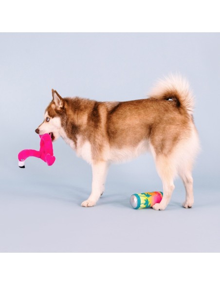 Pool Days, Sun Rays Dog Toys - pack of 4