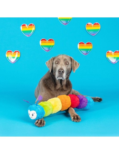 Don't Bug Me Dog Toy - pack of 4