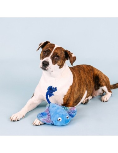Do The Right Sting Dog Toy