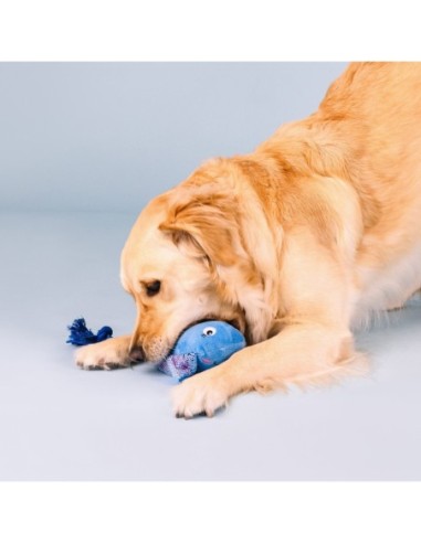 Do The Right Sting Dog Toy