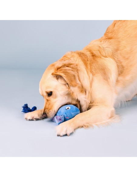Do The Right Sting Dog Toy