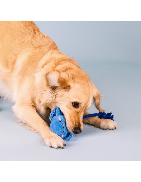 Do The Right Sting Dog Toy