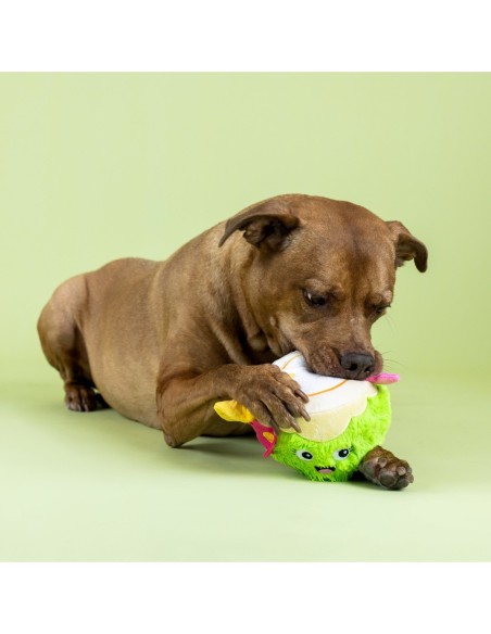 Coc-Nuts About You Plush Dog Toy