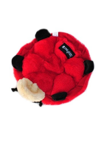 Squeakie Crawlers - SlowPoke the Turtle
Squeakie Crawlers - Betsey the Ladybug