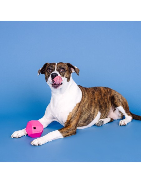 Having A Ball Hot Pink Rubber Dog Toy - pack of 4
