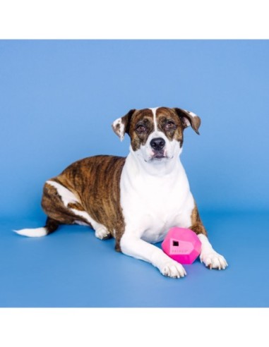Having A Ball Hot Pink Rubber Dog Toy - pack of 4