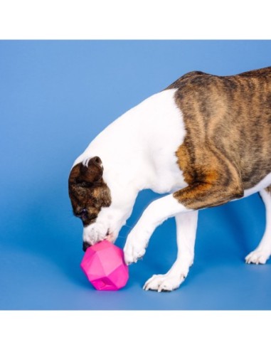 Having A Ball Hot Pink Rubber Dog Toy - pack of 4