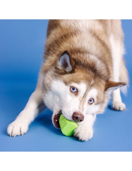 You're Adora-Ball Lime Rubber Dog Toy - pack of 4