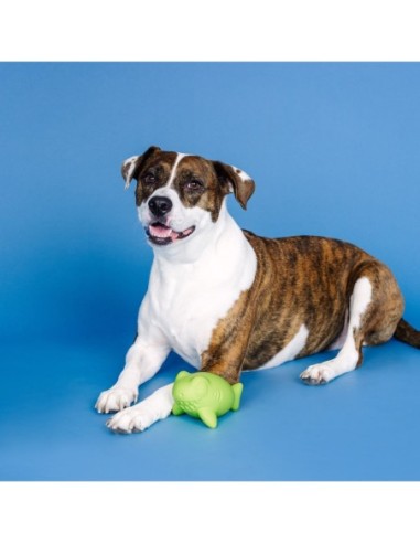 Catch Ya Later Lime Rubber Dog Toy - pack of 4