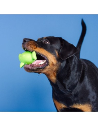 Catch Ya Later Lime Rubber Dog Toy - pack of 4