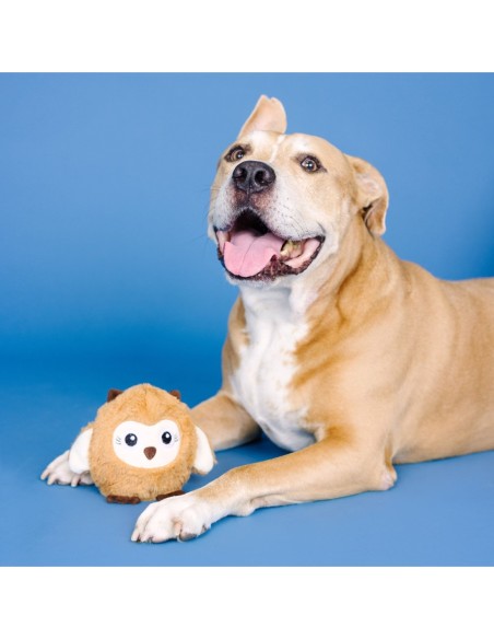 Don't Ruffle My Feathers Rubber/Plush Dog Toy - pack of 4