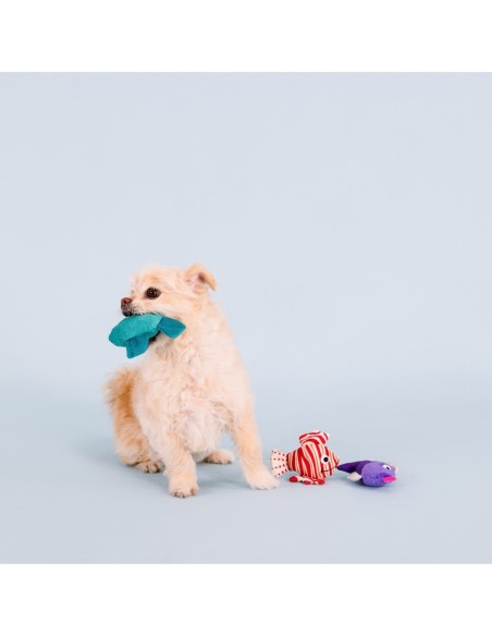 Any Fin Is Possible Mini Dog Toys - pack of 4