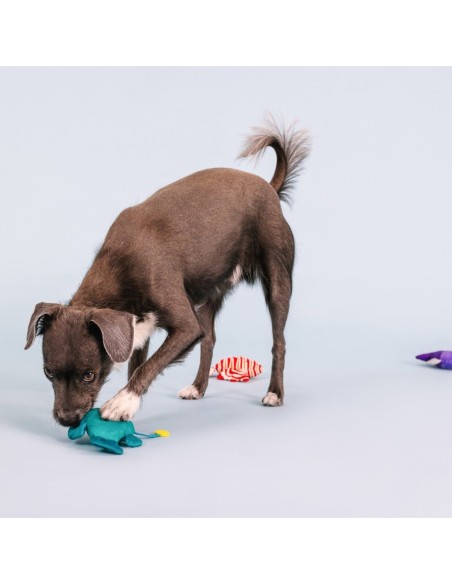 Any Fin Is Possible Mini Dog Toys - pack of 4
